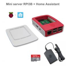 Mini server Raspberry Pi 4 Model B + Home Assistant