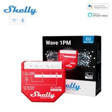 Shelly Wave 1PM