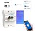 WiFi inteligentný Istič 2P Elektromer+Prúdový chránič 10A